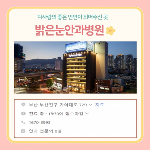 [2024년 11월 후원소식지] 다사랑메세지(DM) 제 62호