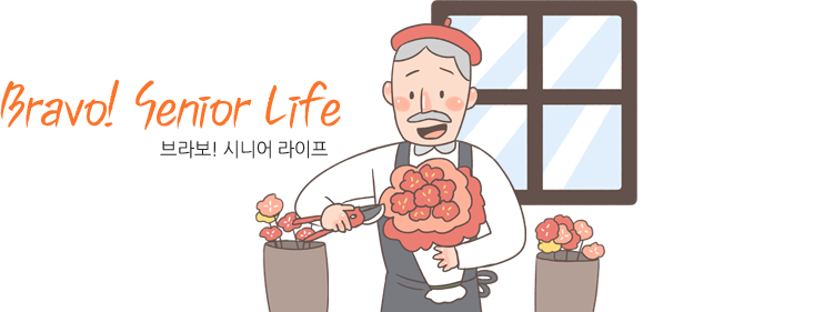 Brovo! Senior Life 브라보! 시니어라이프