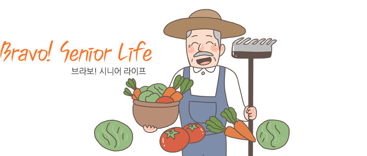 Brovo! Senior Life 브라보! 시니어라이프